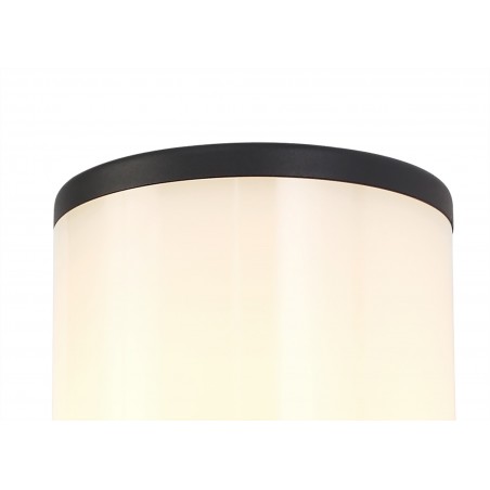 Divina Wall Lamp 1 x E27, IP54, Anthracite/Opal, 2yrs Warranty DELight - 4