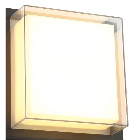 Antia Wall Lamp, 1 x 16W LED, 3000K, 1135lm, IP65, Anthracite/Opal/Clear PC, 3yrs Warranty DELight - 5