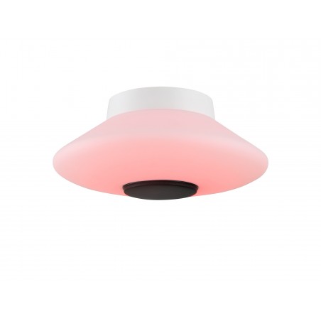 Echo Flat Ceiling, 1 x 22W LED, IP44, RGB/Tuneable White Remote Control/App Control With Built In Speaker, Bluetooth, White DELi