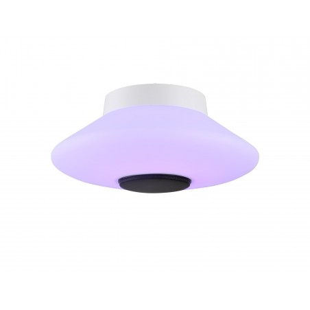 Echo Flat Ceiling, 1 x 22W LED, IP44, RGB/Tuneable White Remote Control/App Control With Built In Speaker, Bluetooth, White DELi